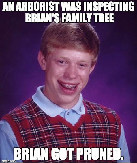 Bad Luck Brian Meme | AN ARBORIST WAS INSPECTING BRIAN'S FAMILY TREE; BRIAN GOT PRUNED. | image tagged in memes,bad luck brian | made w/ Imgflip meme maker