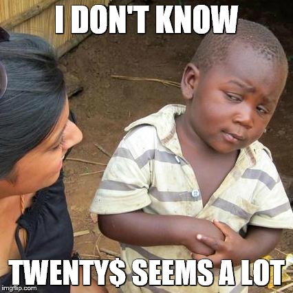 Third World Skeptical Kid Meme | I DON'T KNOW; TWENTY$ SEEMS A LOT | image tagged in memes,third world skeptical kid | made w/ Imgflip meme maker