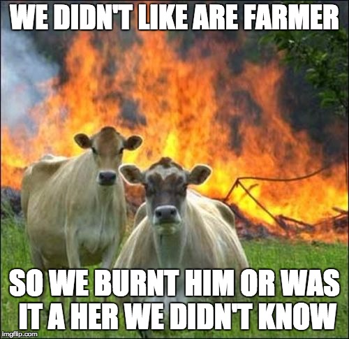 Evil Cows | WE DIDN'T LIKE ARE FARMER; SO WE BURNT HIM OR WAS IT A HER WE DIDN'T KNOW | image tagged in memes,evil cows | made w/ Imgflip meme maker