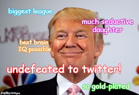 trump doge | biggest league; much seductive daughter; best brain IQ possible; undefeated to twitter! so gold-plated | image tagged in trump,doge,twitter | made w/ Imgflip meme maker
