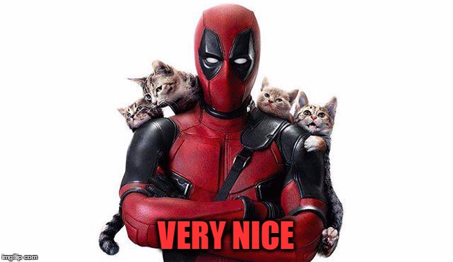 Deadpool With Kittens | VERY NICE | image tagged in deadpool with kittens | made w/ Imgflip meme maker