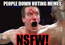 scream | PEOPLE DOWN VOTING MEMES NSFW! | image tagged in scream | made w/ Imgflip meme maker
