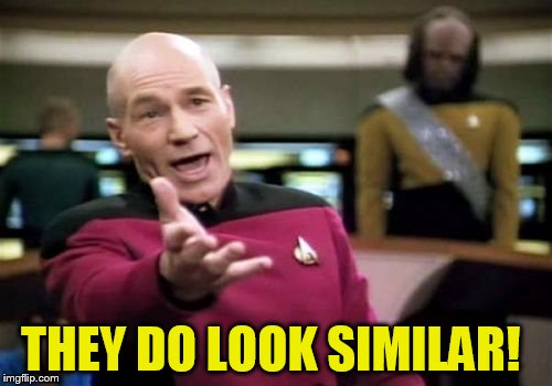 Picard Wtf Meme | THEY DO LOOK SIMILAR! | image tagged in memes,picard wtf | made w/ Imgflip meme maker