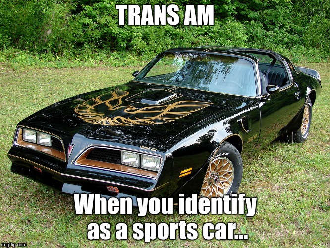 TRANS AM; When you identify as a sports car... | image tagged in trans am | made w/ Imgflip meme maker