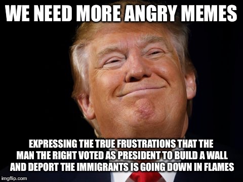 Fluff vs substance  | WE NEED MORE ANGRY MEMES EXPRESSING THE TRUE FRUSTRATIONS THAT THE MAN THE RIGHT VOTED AS PRESIDENT TO BUILD A WALL AND DEPORT THE IMMIGRANT | image tagged in memes,donald trump,political meme | made w/ Imgflip meme maker