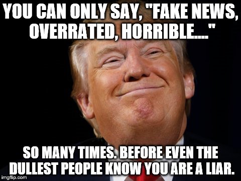 PANTS ON FIRE | YOU CAN ONLY SAY, "FAKE NEWS, OVERRATED, HORRIBLE...."; SO MANY TIMES. BEFORE EVEN THE DULLEST PEOPLE KNOW YOU ARE A LIAR. | image tagged in donald trump,american politics,liar liar pants on fire | made w/ Imgflip meme maker