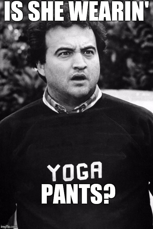 Animal House Yoga | IS SHE WEARIN'; PANTS? | image tagged in animal house yoga | made w/ Imgflip meme maker