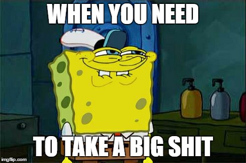 Don't You Squidward | WHEN YOU NEED; TO TAKE A BIG SHIT | image tagged in memes,dont you squidward | made w/ Imgflip meme maker