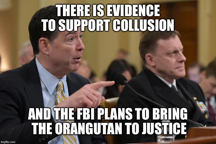 THERE IS EVIDENCE TO SUPPORT COLLUSION AND THE FBI PLANS TO BRING THE ORANGUTAN TO JUSTICE | made w/ Imgflip meme maker