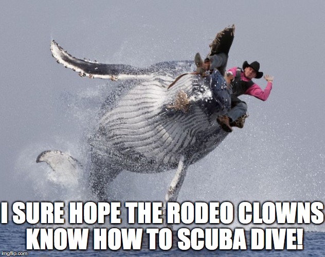 I SURE HOPE THE RODEO CLOWNS KNOW HOW TO SCUBA DIVE! | made w/ Imgflip meme maker
