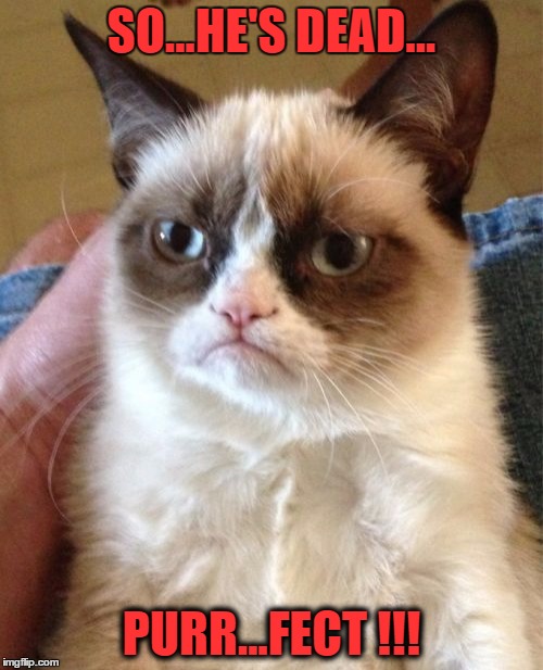 Grumpy Cat Meme | SO...HE'S DEAD... PURR...FECT !!! | image tagged in memes,grumpy cat | made w/ Imgflip meme maker