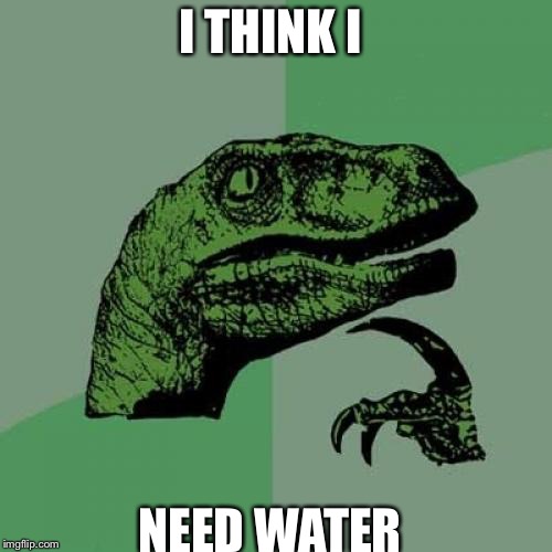 Philosoraptor | I THINK I; NEED WATER | image tagged in memes,philosoraptor | made w/ Imgflip meme maker