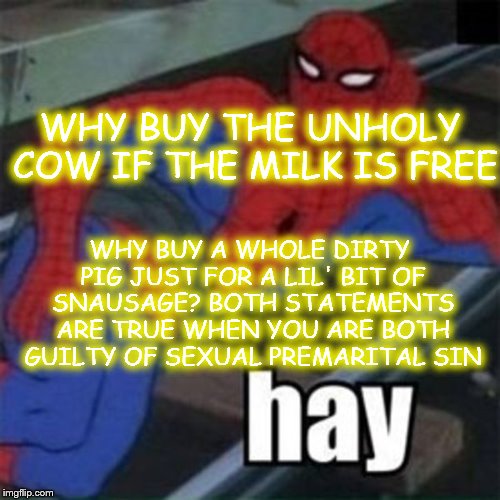 shit up! | WHY BUY THE UNHOLY COW IF THE MILK IS FREE; WHY BUY A WHOLE DIRTY PIG JUST FOR A LIL' BIT OF SNAUSAGE? BOTH STATEMENTS ARE TRUE WHEN YOU ARE BOTH GUILTY OF SEXUAL PREMARITAL SIN | image tagged in shit up | made w/ Imgflip meme maker