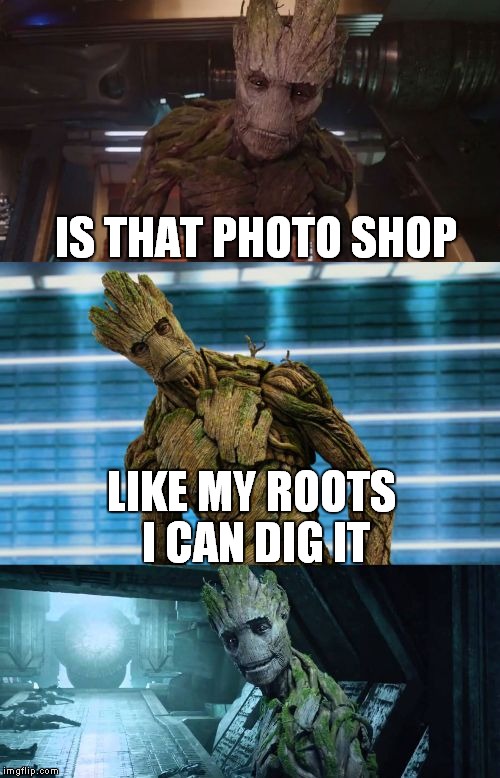 bad pun groot | IS THAT PHOTO SHOP LIKE MY ROOTS I CAN DIG IT | image tagged in bad pun groot | made w/ Imgflip meme maker