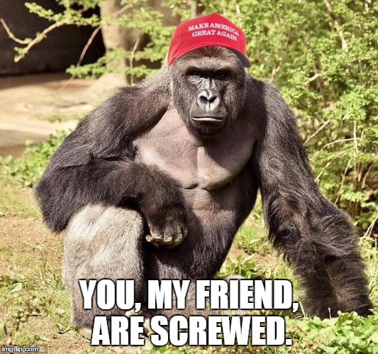 RememberHarambe | YOU, MY FRIEND, ARE SCREWED. | image tagged in rememberharambe | made w/ Imgflip meme maker