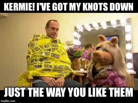 KERMIE! I'VE GOT MY KNOTS DOWN JUST THE WAY YOU LIKE THEM | made w/ Imgflip meme maker