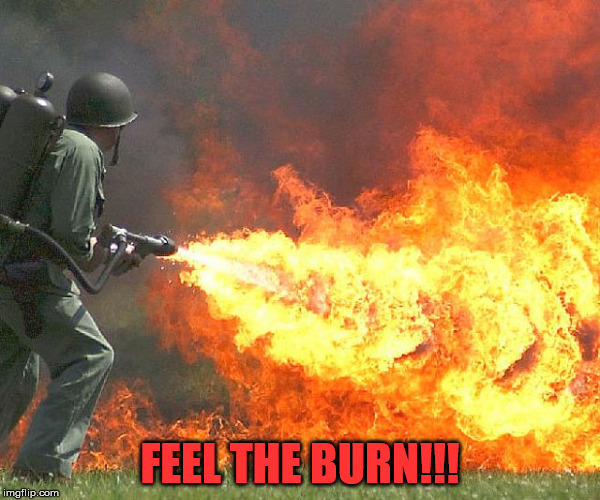 Flamethrower | FEEL THE BURN!!! | image tagged in flamethrower | made w/ Imgflip meme maker