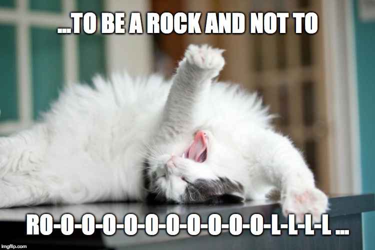 Rock 'n' Roll Kitty Sings Robert Plant | ...TO BE A ROCK AND NOT TO; RO-O-O-O-O-O-O-O-O-O-O-L-L-L-L ... | image tagged in greatest singer ever | made w/ Imgflip meme maker