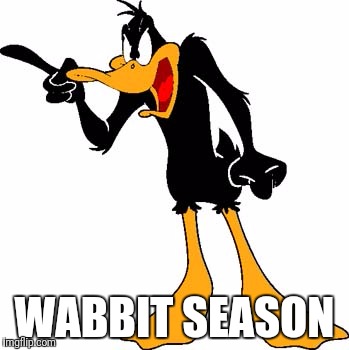 Daffy Duck 201 | WABBIT SEASON | image tagged in daffy duck 201 | made w/ Imgflip meme maker