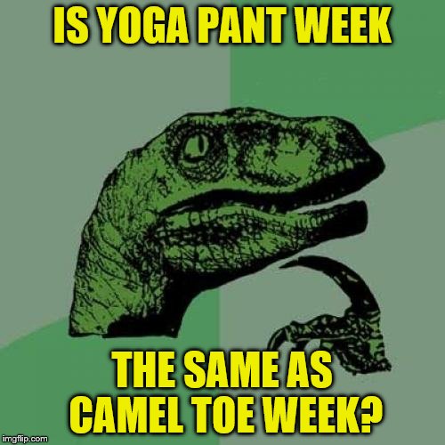 Philosoraptor | IS YOGA PANT WEEK; THE SAME AS CAMEL TOE WEEK? | image tagged in memes,philosoraptor | made w/ Imgflip meme maker