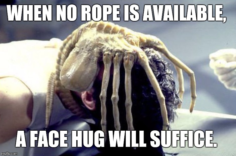 WHEN NO ROPE IS AVAILABLE, A FACE HUG WILL SUFFICE. | image tagged in alien facehugger | made w/ Imgflip meme maker