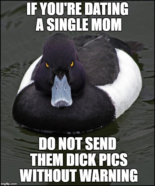 Angry duck | IF YOU'RE DATING A SINGLE MOM; DO NOT SEND THEM DICK PICS WITHOUT WARNING | image tagged in angry duck | made w/ Imgflip meme maker