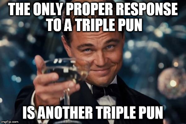 Leonardo Dicaprio Cheers Meme | THE ONLY PROPER RESPONSE TO A TRIPLE PUN IS ANOTHER TRIPLE PUN | image tagged in memes,leonardo dicaprio cheers | made w/ Imgflip meme maker