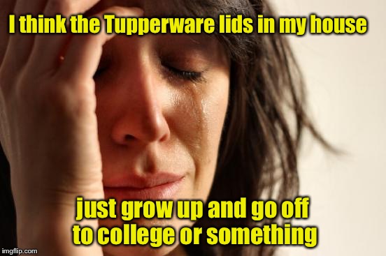 First World Problems Meme | I think the Tupperware lids in my house; just grow up and go off to college or something | image tagged in memes,first world problems | made w/ Imgflip meme maker