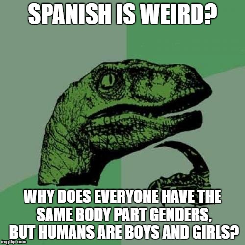 Philosoraptor Meme | SPANISH IS WEIRD? WHY DOES EVERYONE HAVE THE SAME BODY PART GENDERS, BUT HUMANS ARE BOYS AND GIRLS? | image tagged in memes,philosoraptor | made w/ Imgflip meme maker