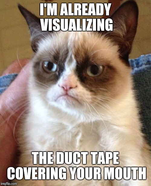 Grumpy Cat | I'M ALREADY VISUALIZING; THE DUCT TAPE COVERING YOUR MOUTH | image tagged in memes,grumpy cat | made w/ Imgflip meme maker