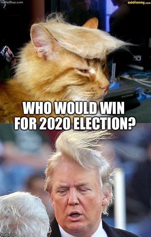 WHO WOULD WIN FOR 2020 ELECTION? | image tagged in gifs,funny | made w/ Imgflip meme maker