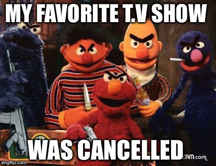 sesame street | MY FAVORITE T.V SHOW; WAS CANCELLED | image tagged in sesame street | made w/ Imgflip meme maker