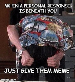 memehole  | WHEN A PERSONAL RESPONSE IS BENEATH YOU; JUST GIVE THEM MEME | image tagged in memes | made w/ Imgflip meme maker