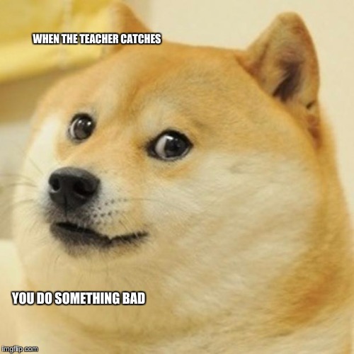 Doge | WHEN THE TEACHER CATCHES; YOU DO SOMETHING BAD | image tagged in memes,doge | made w/ Imgflip meme maker
