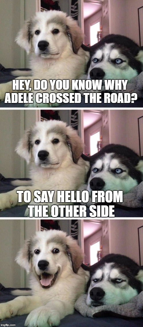 Bad Pun Puppy | HEY, DO YOU KNOW WHY ADELE CROSSED THE ROAD? TO SAY HELLO FROM THE OTHER SIDE | image tagged in bad pun puppy | made w/ Imgflip meme maker