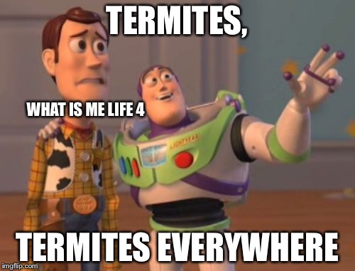X, X Everywhere | TERMITES, WHAT IS ME LIFE 4; TERMITES EVERYWHERE | image tagged in memes,x x everywhere | made w/ Imgflip meme maker