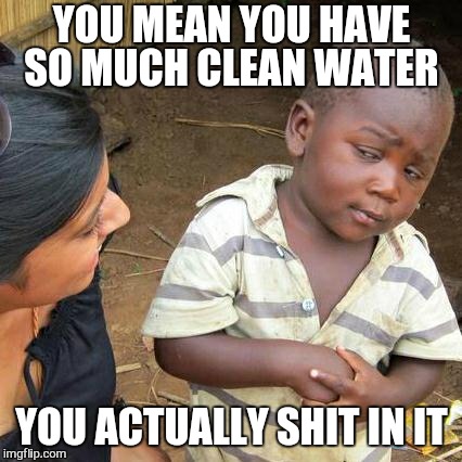 Third World Skeptical Kid Meme | YOU MEAN YOU HAVE SO MUCH CLEAN WATER YOU ACTUALLY SHIT IN IT | image tagged in memes,third world skeptical kid | made w/ Imgflip meme maker