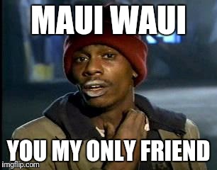 Y'all Got Any More Of That Meme | MAUI WAUI; YOU MY ONLY FRIEND | image tagged in memes,yall got any more of | made w/ Imgflip meme maker