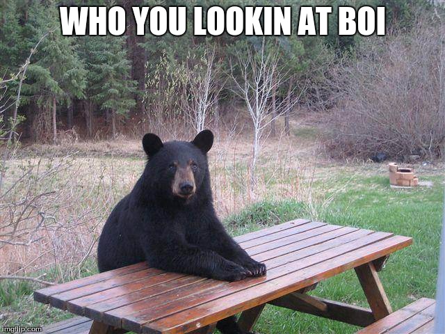 Bear at Picnic Table | WHO YOU LOOKIN AT BOI | image tagged in bear at picnic table | made w/ Imgflip meme maker