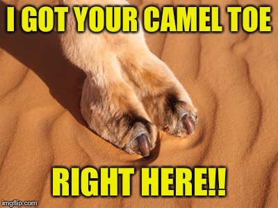 I GOT YOUR CAMEL TOE RIGHT HERE!! | made w/ Imgflip meme maker