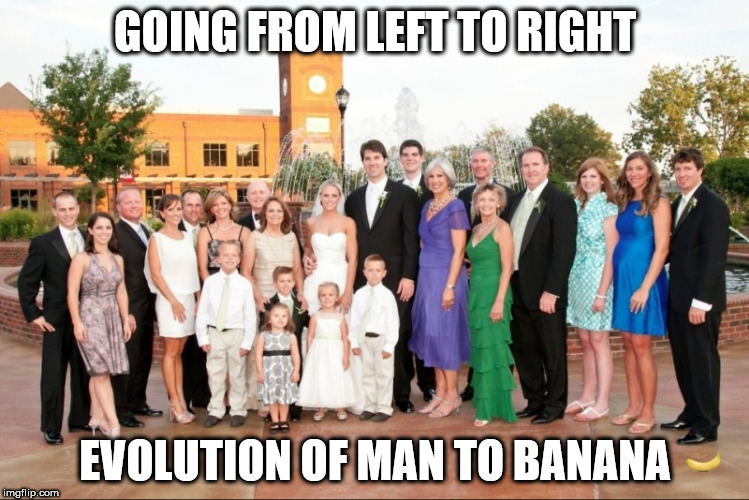 The New Family | GOING FROM LEFT TO RIGHT; EVOLUTION OF MAN TO BANANA | image tagged in banana,family,bananas | made w/ Imgflip meme maker