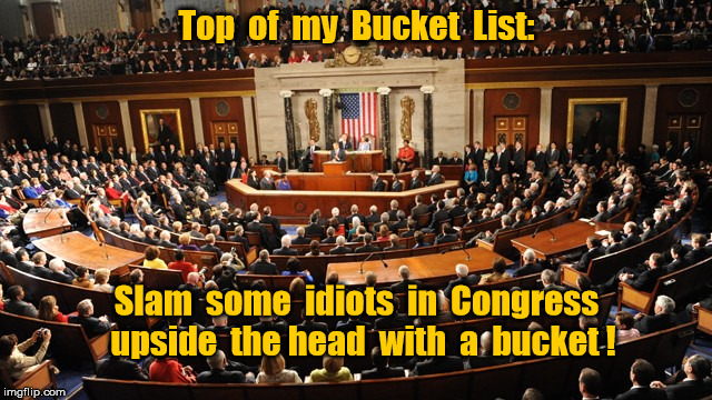 My Bucket List | Top  of  my  Bucket  List:; Slam  some  idiots  in  Congress  upside  the head  with  a  bucket ! | image tagged in congress,bucket list | made w/ Imgflip meme maker