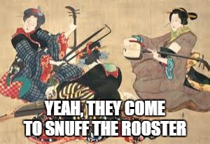 rooster | YEAH, THEY COME TO SNUFF THE ROOSTER | image tagged in rooster | made w/ Imgflip meme maker