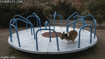 Swing into Spring Part 4 (merry-go-round dog) - Imgflip