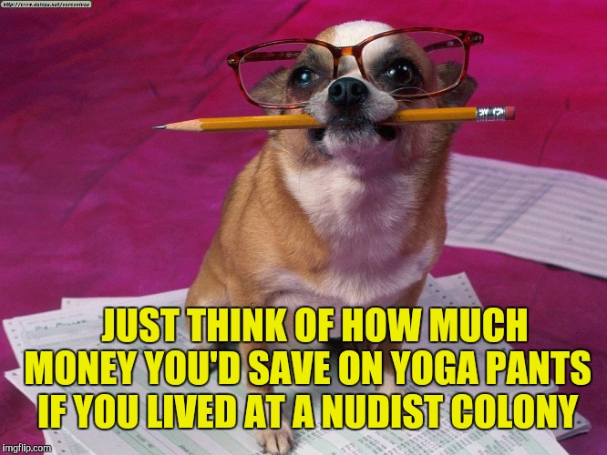 JUST THINK OF HOW MUCH MONEY YOU'D SAVE ON YOGA PANTS IF YOU LIVED AT A NUDIST COLONY | made w/ Imgflip meme maker