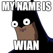batman derp | MY NAME IS; WIAN | image tagged in batman derp | made w/ Imgflip meme maker