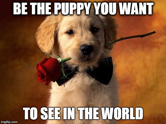 ...Think Of The Puppies | BE THE PUPPY YOU WANT; TO SEE IN THE WORLD | image tagged in think of the puppies | made w/ Imgflip meme maker