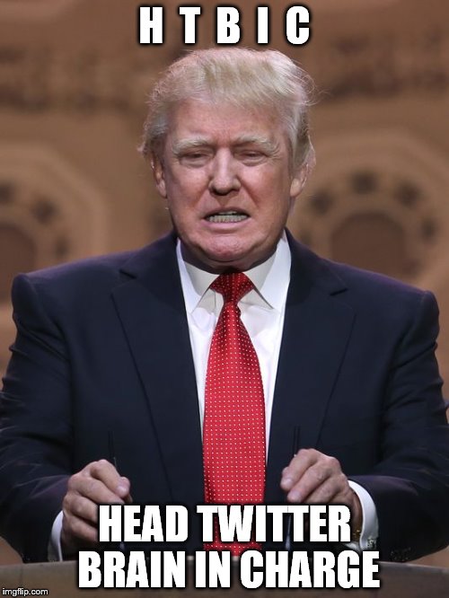 Donald Trump | H  T  B  I  C; HEAD TWITTER BRAIN IN CHARGE | image tagged in donald trump | made w/ Imgflip meme maker