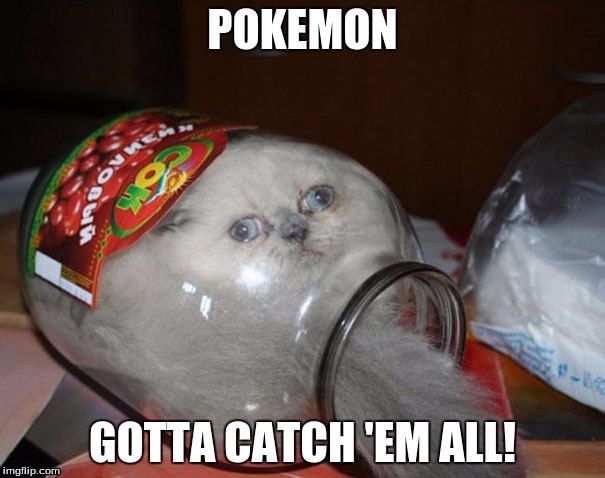 POKEMON!!! | image tagged in pokemon,cat,funny,imgflip | made w/ Imgflip meme maker