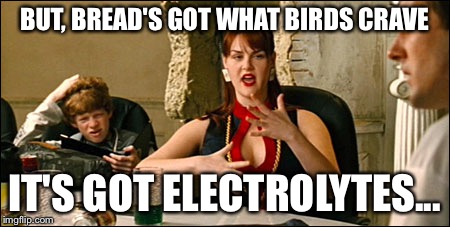 electrolytes | BUT, BREAD'S GOT WHAT BIRDS CRAVE; IT'S GOT ELECTROLYTES... | image tagged in electrolytes | made w/ Imgflip meme maker